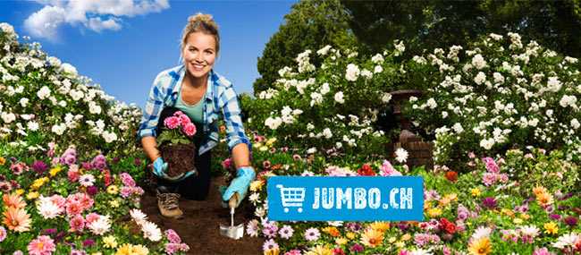 Jumbo